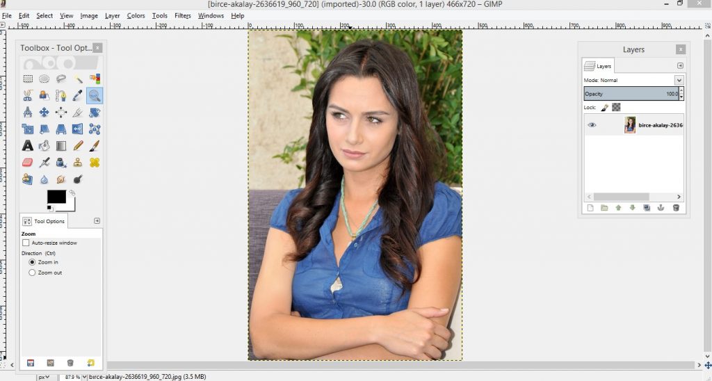 gimp remove background in bmp